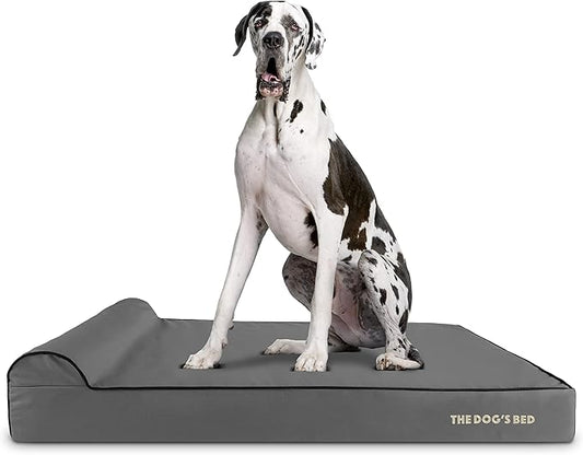 The Dog’s Bed Orthopedic Memory Foam Dog Bed with Headrest, Oxford Fabric, Grey with Black Trim, XXL, 6-Inch
