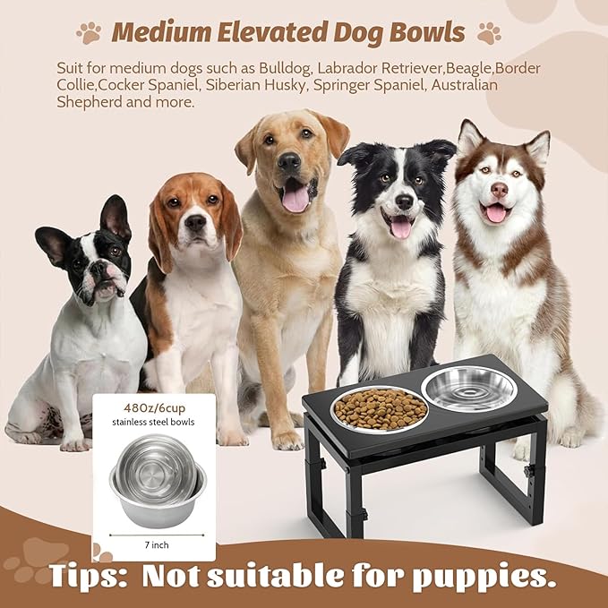 Elevated Dog Bowls Black, 4 Height & Angle Adjustable Raised Dog Bowl Stand, Elevated Dogs Bowl Station for Medium Sized, Sturdy Bamboo Dogs Feeding Station with 2 Stainless Steel Dishes (48oz/6cup)