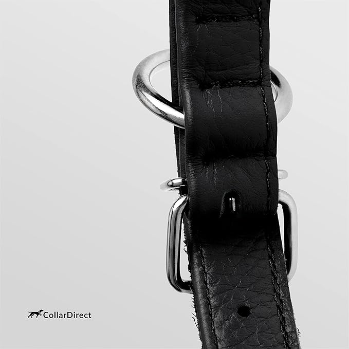 CollarDirect Rolled Leather Dog Collar, Soft Padded Round Puppy Collar, Handmade Genuine Leather Collar Dog Small Large Cat Collars 13 Colors (11-14 Inch, Black Textured)