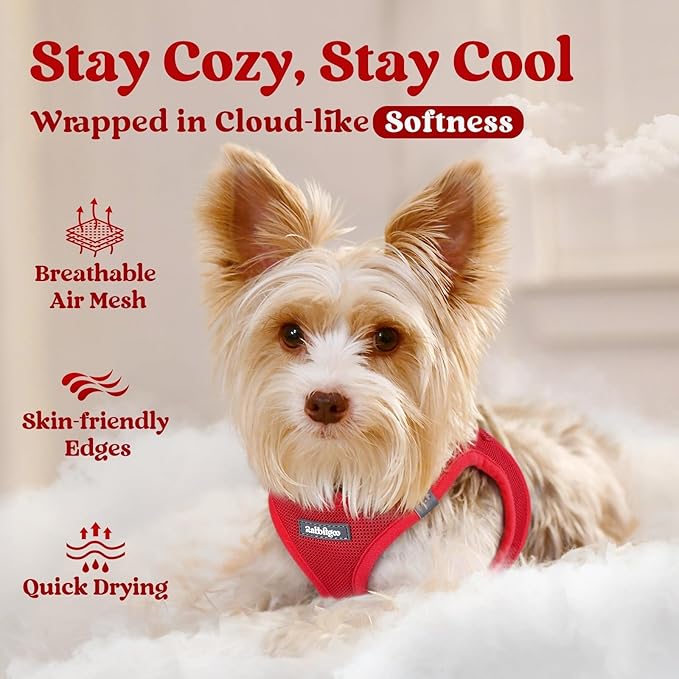 rabbitgoo Small Dog Harness, Step-in Soft Mesh Puppy Vest with Safety Buckle, Breathable Reflective Pet Harness for Small Medium Dogs, Red L
