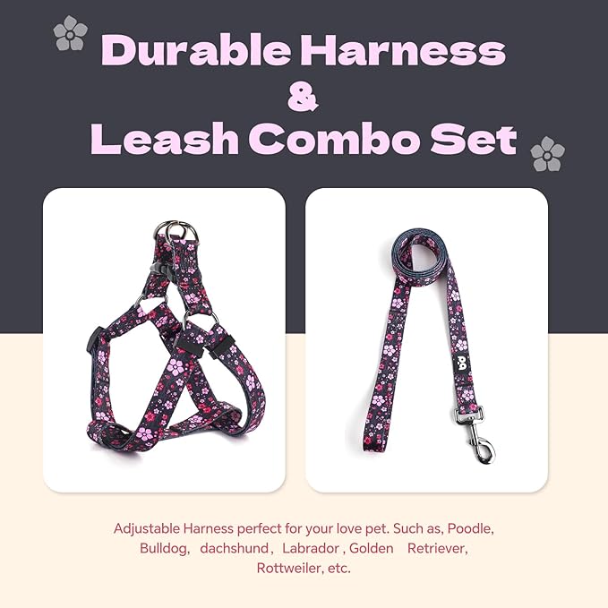 QQPETS Dog Harness Leash Set Adjustable Heavy Duty No Pull Halter Harnesses for Small Medium Large Breed Dogs Back Clip Anti-Twist Perfect for Walking