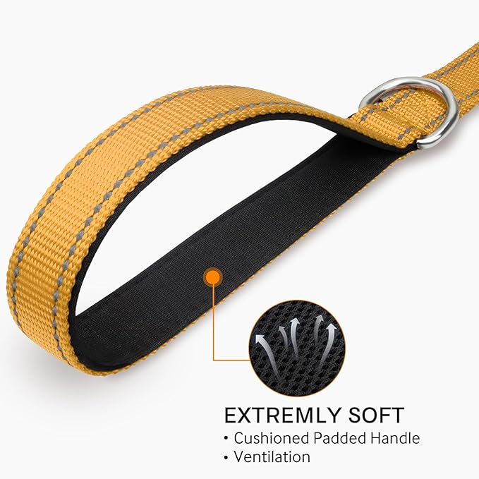 Joytale Dog Leash Heavy Duty for Large Medium Dogs, 5 FT Reflective Nylon Pet Walking Lead with Soft Padded Handle, Durable & Tangle Free for Training, Running & Safety Control, Khaki