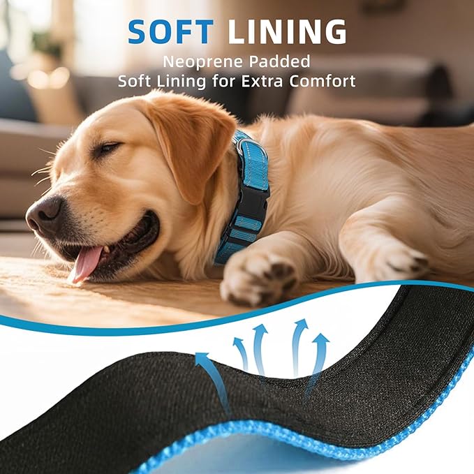 Reflective Dog Collar for Extra Large Dogs, Adjustable Collar with Soft Neoprene Padded, Durable Buckle for Daily Walking,Aqua Blue,XL