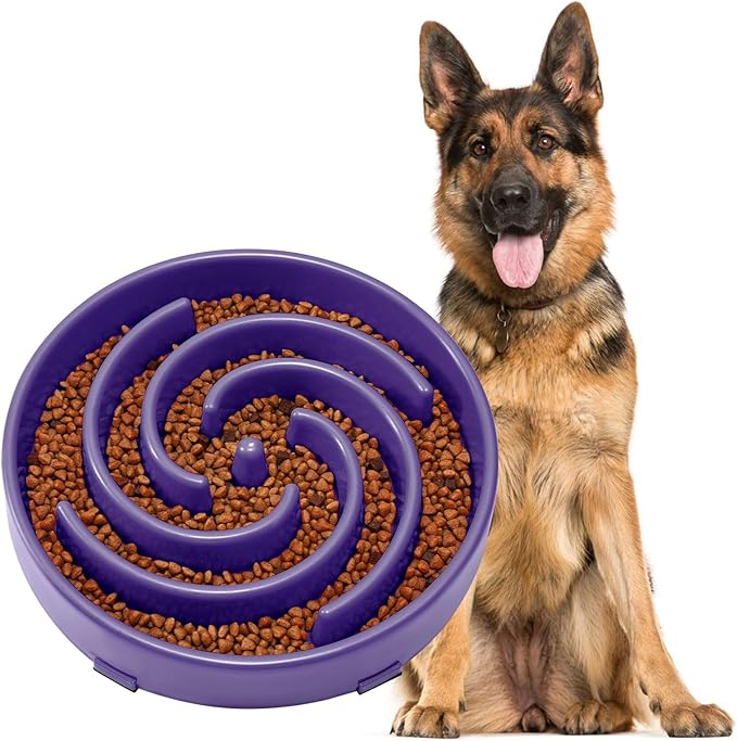 JASGOOD Slow Feeder Bowl for Large Dogs, Anti-Gulping Pet Bowl, Prevents Bloat & Choking