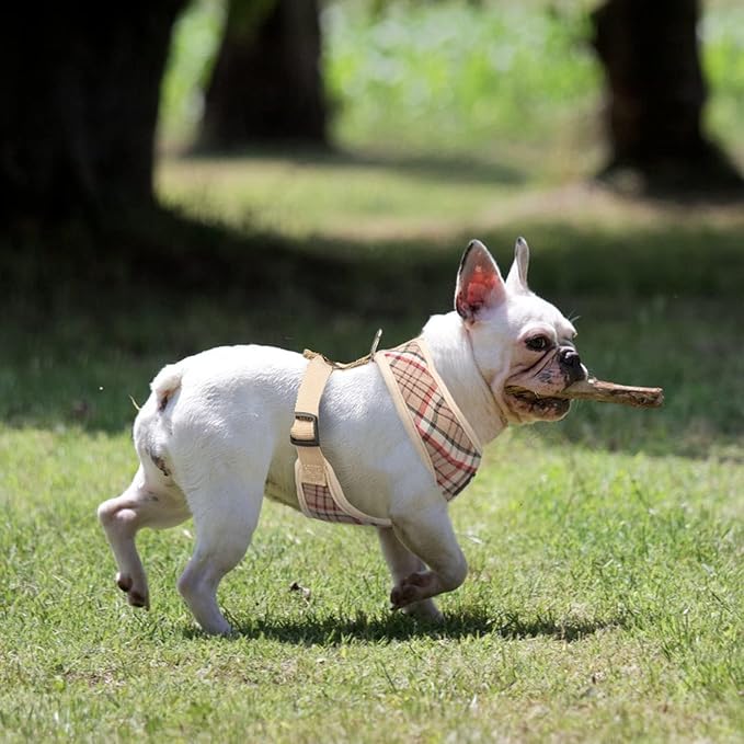 PUPTECK Soft Mesh Dog Harness and Leash Set Pet Puppy Cat Comfort Padded Vest No Pull Harnesses, Khaki, M