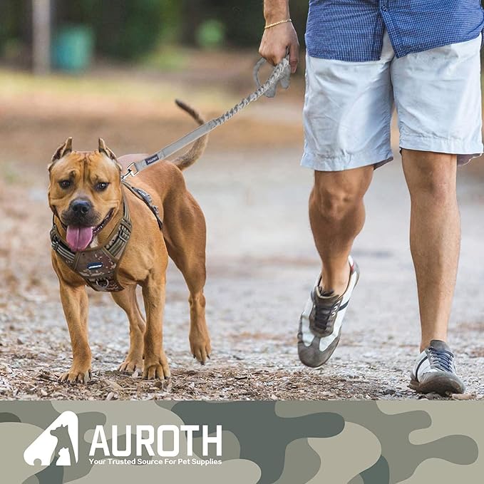 AUROTH Heavy Duty Dog Leash for Large Breeds, Bungee No Pull Leash with Shock Absorption, 6FT with 2 Padded Handles