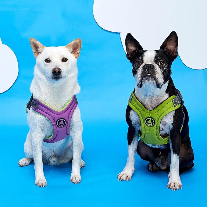 Gooby Escape Free Memory Foam Harness - Green, Large - No Pull Step-in Small Dog Harness with Four Point Adjustment - Perfect on The Go Dog Harness for Medium Dogs No Pull and Small Dogs