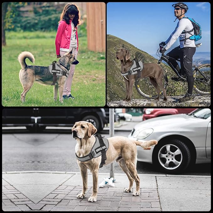 JSXD Dog Harness,No-Pull Service Dog Harness with Handle Adjustable Outdoor Pet Dog Vest 5M Reflective Nylon Material Vest for Breeds,Easy Control for Small Medium Large Dogs