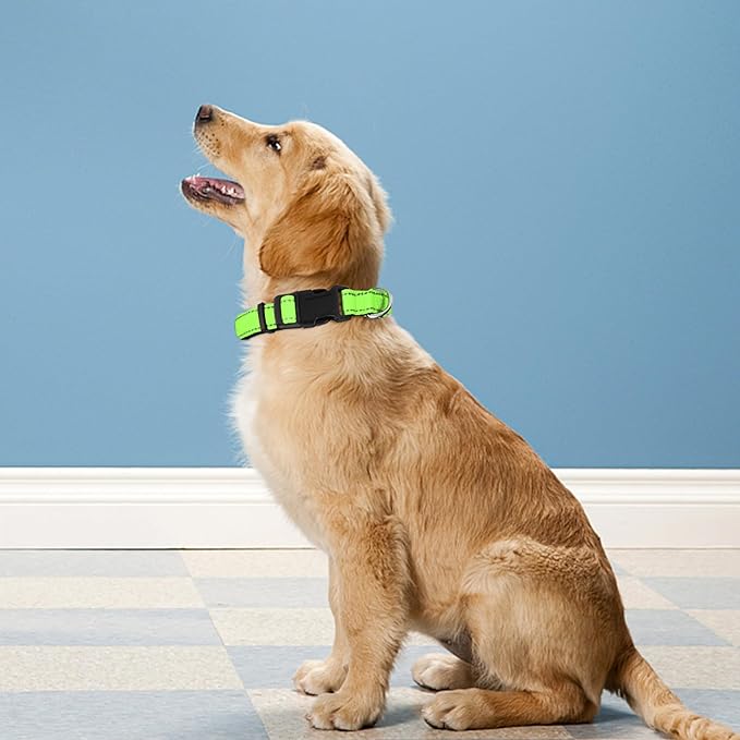 Reflective Dog Collar, Adjustable Soft Neoprene Padded Nylon Pet Collars with Buckle for Large Dogs, Green,L