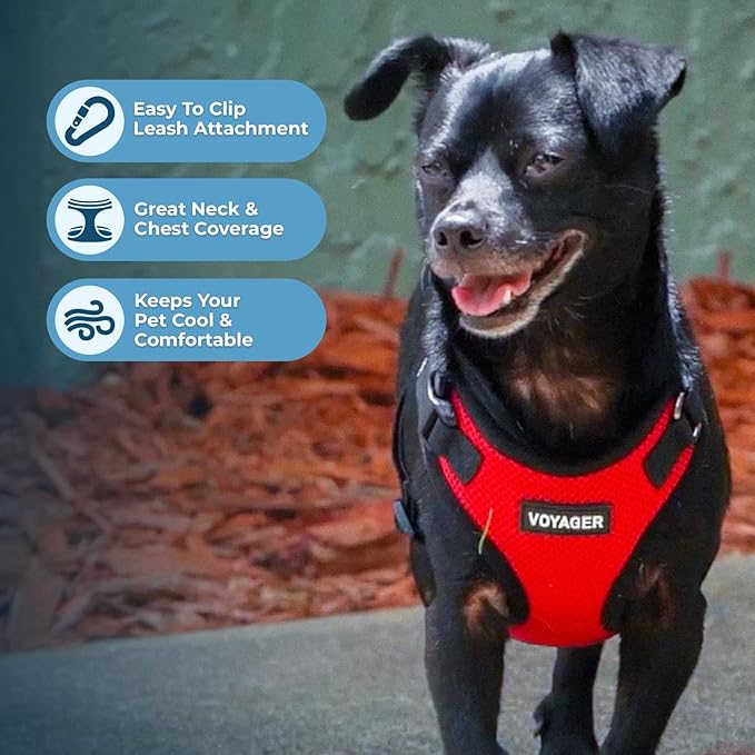Voyager Step-in Pet Harness - All Weather Mesh, Adjustable Step in Harness for Cats and Dogs by Best Pet Supplies - Red/Black Trim, S