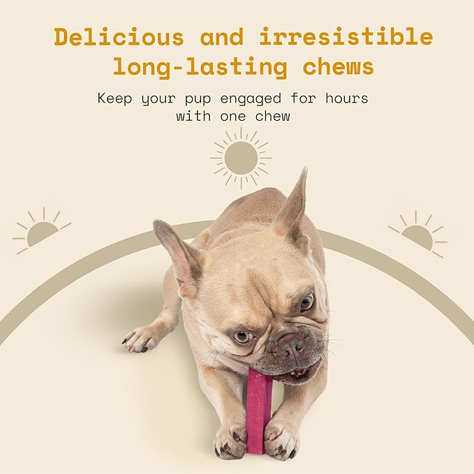 Chews Himalayan Yak Cheese Dog Chews Raspberry Flavor Large - Natural Long Lasting Dental Treat for Large Dogs - High Protein & Calcium - Gluten-Free Lactose-Free - 3-3.5 oz (4 Pack)