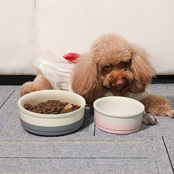 Sweejar Ceramic Dog Bowls, Dog Food Dish for Small Dogs and Cat, Heavy Duty Porcelain Pet Bowl for Canned Food and Water 17 Fl Oz （Gray）