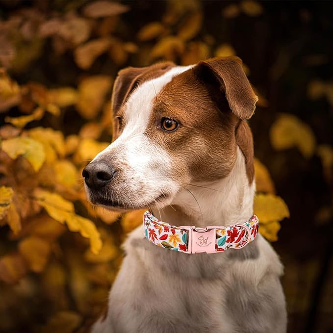 Elegant little tail Fall Dog Collar, Autumn Leaves Pet Collar Durable Dog Collars Male or Female Holiday Pet Gift Adjustable Dog Collar for Medium Dogs