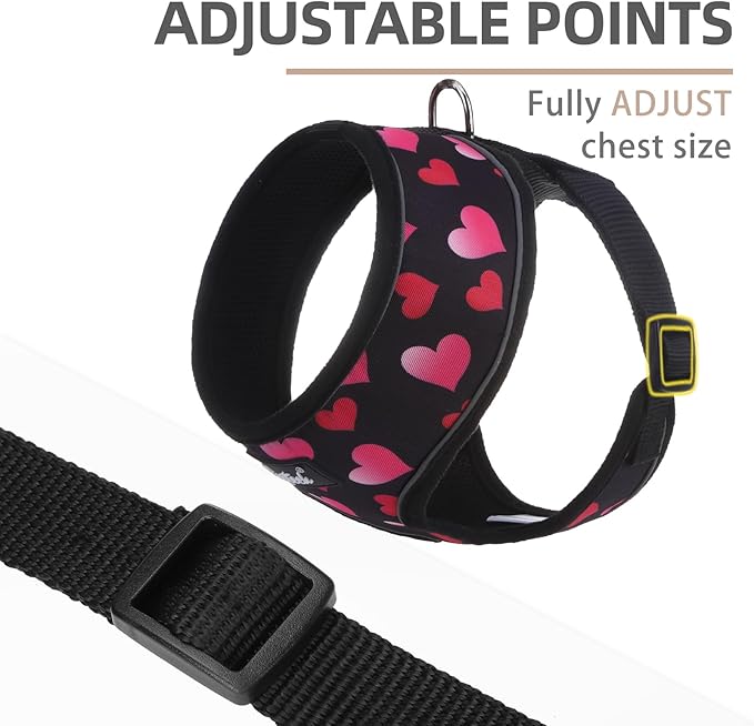 PUPTECK Soft Mesh Dog Harness and Leash Set Pet Puppy Cat Comfort Padded Vest No Pull Harnesses Valentine, Black&Pink, L