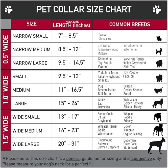 Buckle-Down Plastic Clip Collar - Dug 3-Poses/SQUIRREL! Brown/Yellow/White - 1/2" Wide - Fits 6-9" Neck - Small