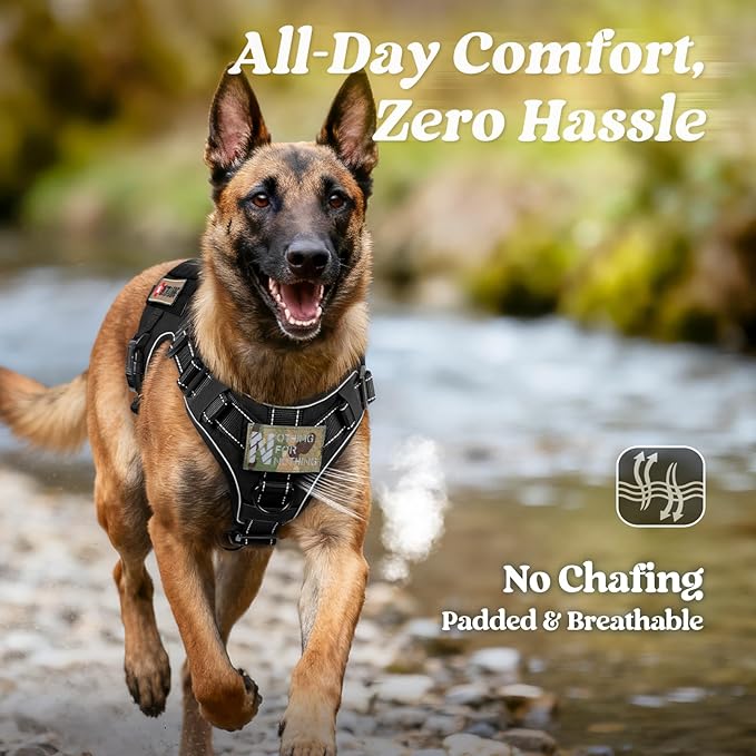 rabbitgoo Tactical Dog Harness Medium Large Sized, No Pull Upgraded Reflective Heavy Duty Molle Vest with Handle, Adjustable Military Service Dog Vest for Walking Hiking Training, Black, M