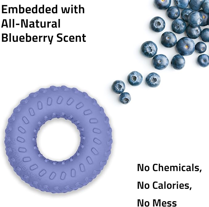 Playology Dog Toys | Dual Layer Ring Durable Chew Toy for Aggressive Chewers | Jumbo Blueberry Scented Toy - Easy to Clean and Made from Non Toxic Materials