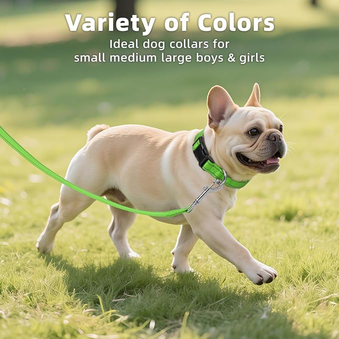 Reflective Dog Collar for Mediunm Dogs, Adjustable Collar with Soft Neoprene Padded, Durable Buckle for Daily Walking,Green,M, 3/4" Width