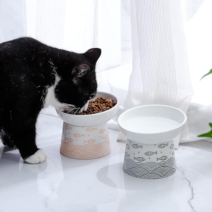 OMAYKEY Ceramic Raised Cat Bowls, Elevated Tilted Cat Food and Water Bowls Set, Porcelain Stress Free Pet Feeder Dish for Kitty Cats and Small Dogs, Dishwasher and Microwave Safe, Set of 2