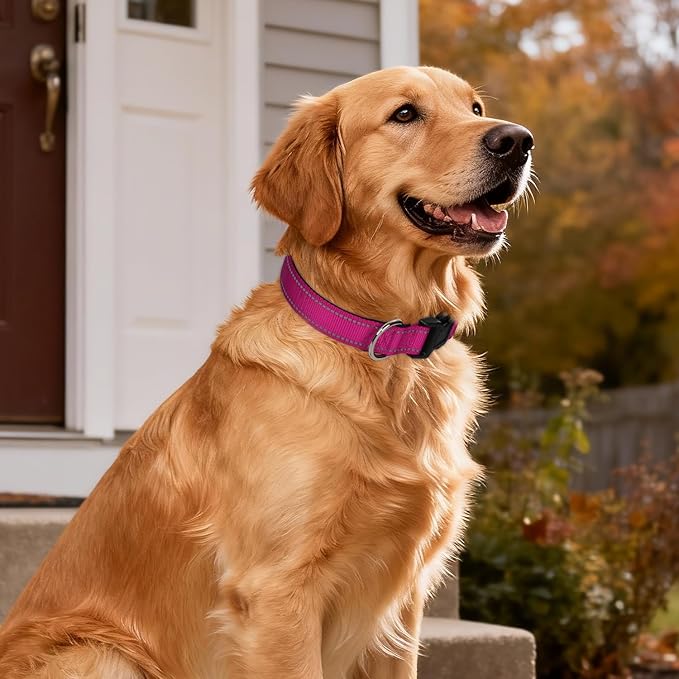 Reflective Dog Collar for Large Dogs, Wide Nylon Adjustable Collar with Soft Padding, Durable Buckle for Pitbull Labrador Retriever,Hotpink,L