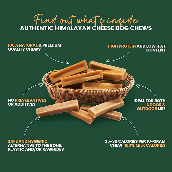 KATHMANDU'S Authentic Yak Cheese Himalayan Dog Chews - All Natural and Protein-Rich Nutrition Dog Treats, Long Lasting Chews for Aggressive Chewers, Odor & Gluten Free Yak Chew | Large (Pack of 2)