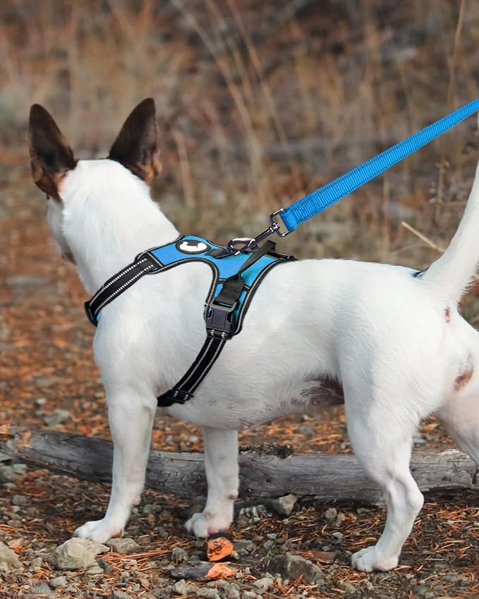 Joytale Dog Leash Heavy Duty for Large Medium Dogs, 5 FT Reflective Nylon Pet Walking Lead with Soft Padded Handle, Durable & Tangle Free for Training, Running & Safety Control, Sky Blue
