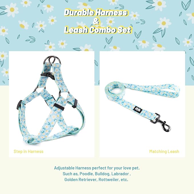 QQPETS Dog Harness Leash Set Adjustable Heavy Duty No Pull Halter Harnesses for Small Medium Large Breed Dogs Back Clip Anti-Twist Perfect for Walking