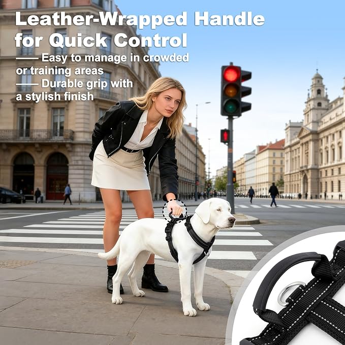 No Pull Dog Harness with Handle, Soft Mesh Padded Adjustable for Small Medium Large Dogs | Reflective Easy Walk Harness with Front Clip for Training, Running & Outdoor (Black, S)