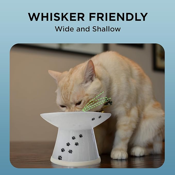 Necoichi Raised Cat Food Bowl – Ceramic Elevated Cat Bowl for Whisker & Neck Fatigue, Dishwasher Microwave Safe – Non-Slip & Anti Vomiting Ergonomic Design (Cats, Extra Wide, 2-Cups Capacity)