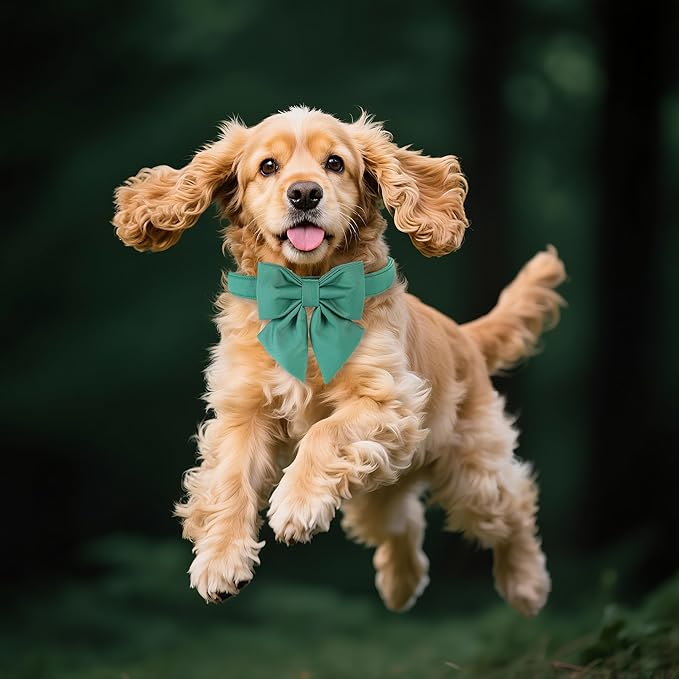 Maca Bates Jade Green Dog Collar with Cute Solid Sailor Bow Tie for Large Girl Boy Dogs,Adjustbale Durable Breakaway Soft Collars with Bowtie for Female Male Puppy,Pet with Metal Buckle