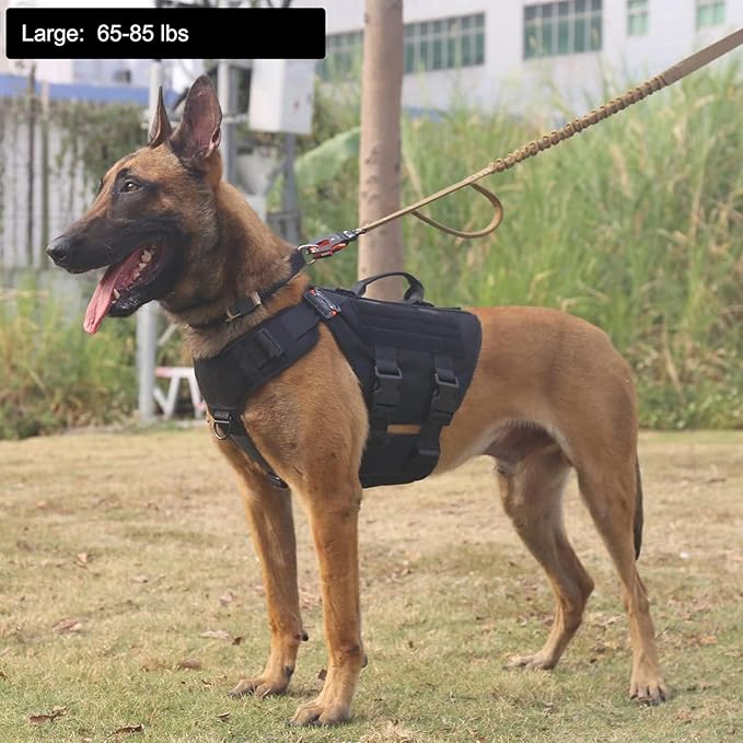 ICEFANG GN3 Tactical Dog Harness with 6X Buckle,Dog Molle Vest with Handle,3/4 Body Coverage,Hook and Loop Panel for ID Patch,No Pulling Front Clip (L (28"-35" Girth), Black)