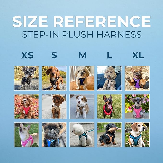 Best Pet Supplies - All Weather Plush, Reflective, No Pull Harness for Small, Medium Dogs, Cats - Secure with Hook & Loop Fastener, Buckle, Double D-Rings - Turquoise Plush, XS