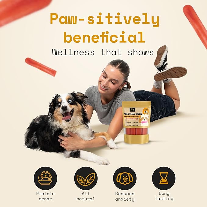 Chews Himalayan Yak Cheese Dog Chews Strawberry Flavor Large - Natural Long Lasting Dental Treat for Large Dogs - High Protein & Calcium - Gluten-Free Lactose-Free - 3-3.5 oz (4 Pack)