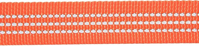 Carhartt Pet Durable Nylon Webbing Leashes for Dogs, Reflective Stitching for Visibility, Hunter Orange (Nylon Webbing), Small