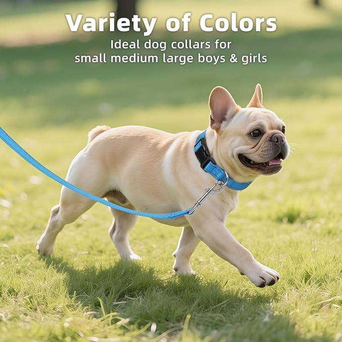 Reflective Dog Collar for Small Dogs, Soft Neoprene Padded with Quick Release Buckle, Adjustable Nylon Pet Collar for Walking,Aqua Blue,S