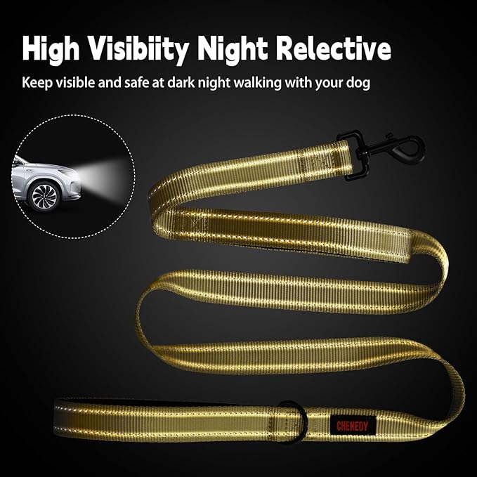 Heavy Duty Dog Leash, Leashes for Large Breed Dogs, Double Handle Dog Leash, Reflective Training Lead, Perfect for Medium to Large Dogs(6FTDeep Green)
