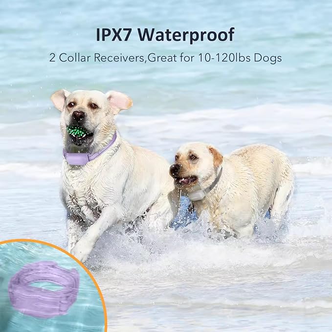 PATPET Shock Collar for Dogs(10-120lbs), 4000ft Rechargeable IPX7 Waterproof Training Collar with Remote for 2 Dogs- Electric Dog Collar for Small Medium Large Dogs 2 Packs