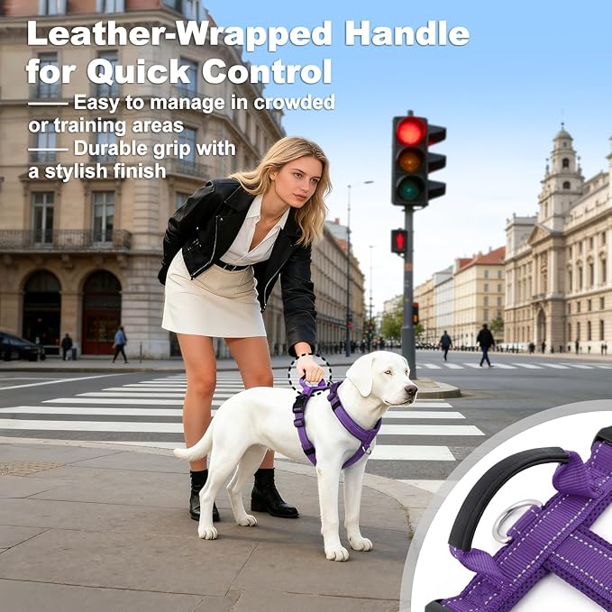 No Pull Dog Harness with Handle, Soft Mesh Padded Adjustable for Small Medium Large Dogs | Reflective Easy Walk Harness with Front Clip for Training, Running & Outdoor (Purple, S)