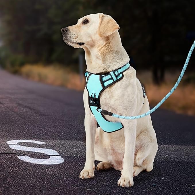 IVY&LANE No Pull Dog Harness with Leash Set, Reflective No Choke Pet Vest,Adjustable Oxford Dog Vest Harness with Easy Control Handle for Large Dogs (Turquoise,XL)