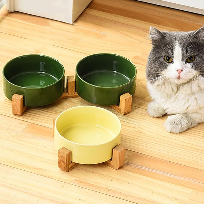 Petygooing Ceramic Dog Cat Bowl Set with Stand, Pet Food and Water Dishes,Medium Pet Bowl Anti -Slip Set of 2 Cat Dish-Pet Food Bowls Small Medium Size Dog (28OZ/6.1 in) Rust Green