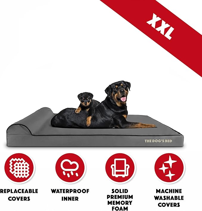 The Dog’s Bed Orthopedic Memory Foam Dog Bed with Headrest, Oxford Fabric, Grey with Black Trim, XXL, 4-Inch