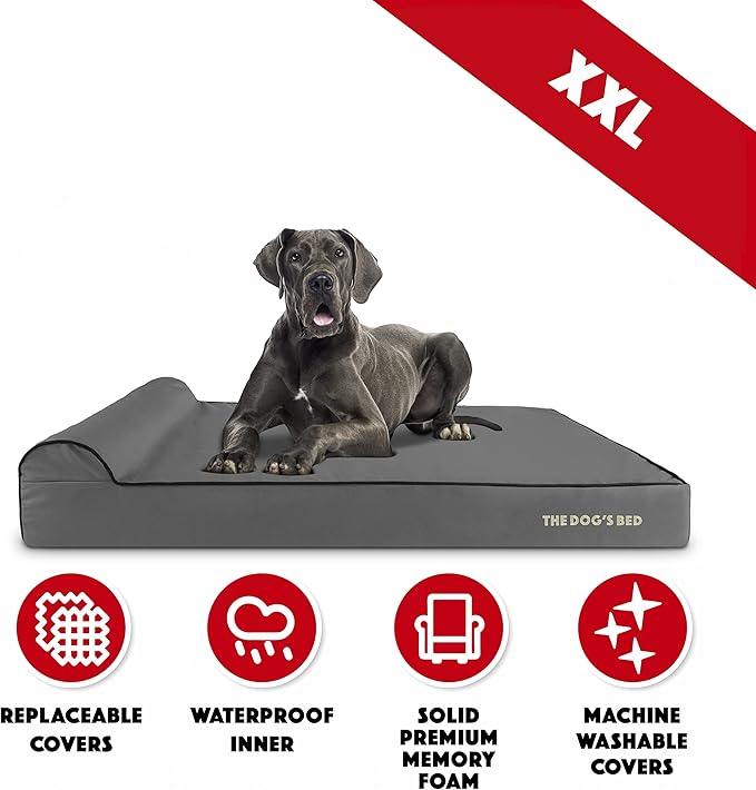 The Dog’s Bed Orthopedic Memory Foam Dog Bed with Headrest, Oxford Fabric, Grey with Black Trim, XXL, 6-Inch