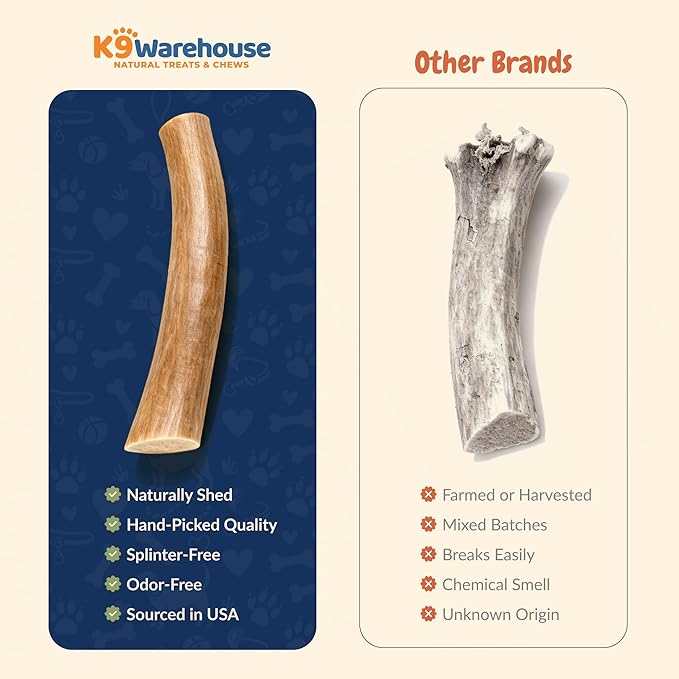 K9warehouse Natural Elk Antlers for Dogs - Premium Grade Dog Antler Chews - Long-Lasting Whole Deer Antles Ideal for Aggressive Chewers - Safe USA Sourced Chew for Medium and Large Dogs - 1 Pack
