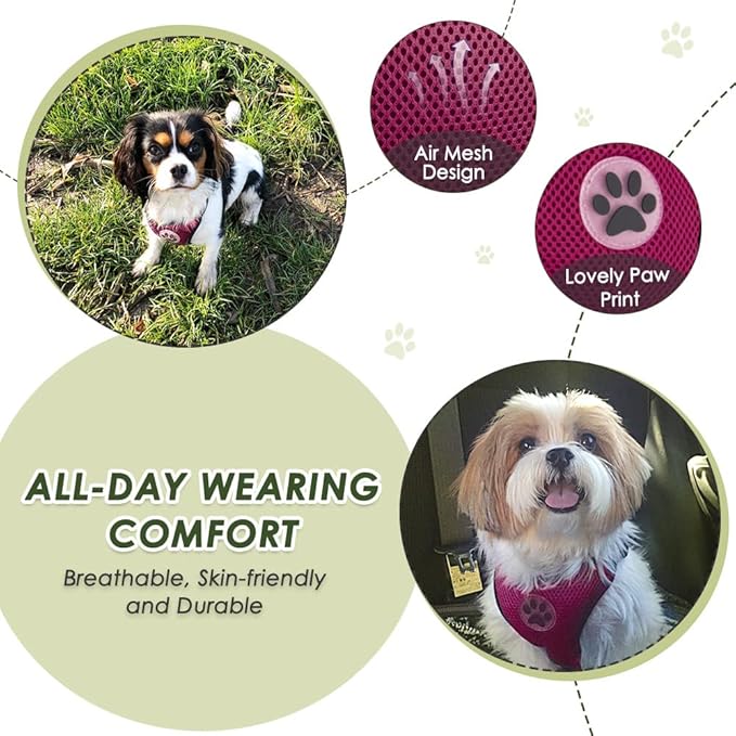 Lukovee Dog Seat Belt for Car, Adjustable Dog Car Harness for Large Medium Small Dogs, Soft Padded & Breathable Mesh Dog Seatbelt with Car Strap and Carabiner (Rose,XS)