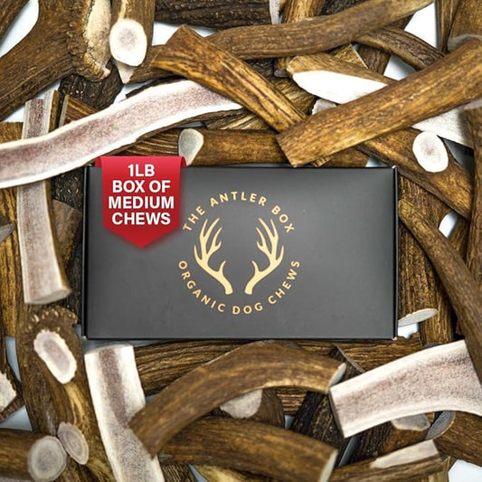 The Antler Box Premium Elk Antler Dog Chews (1 Pound Box) (Medium (4 Pieces) Split Only)