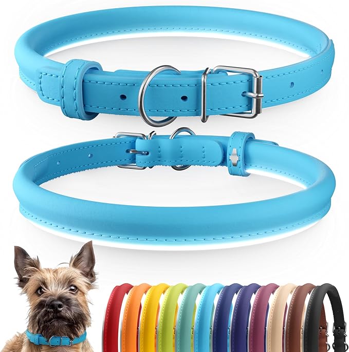 CollarDirect Rolled Leather Dog Collar, Soft Padded Round Puppy Collar, Handmade Genuine Leather Collar Dog Small Large Cat Collars 13 Colors (8-11 Inch, Light Blue)