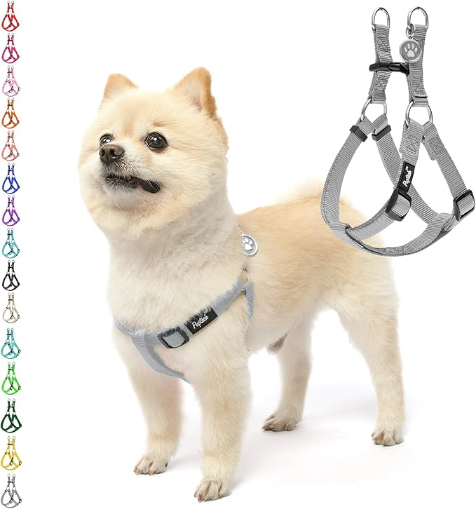 PUPTECK No Pull Dog Harness Soft Adjustable Basic Nylon Step in Puppy Vest Outdoor Walking with ID Tag, Grey, XS