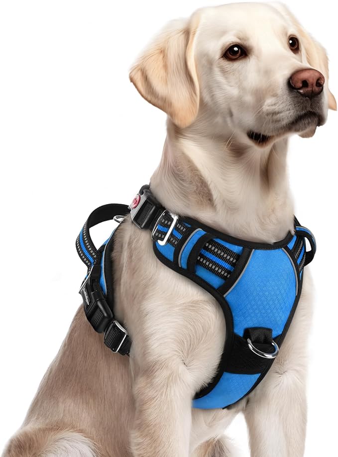 rabbitgoo Dog Harness for Large Dogs, No Pull Pet Vest with 3 Buckles, Adjustable Soft Padded Pet Harness with Easy Control Handle and Reflective Strips, Blue, L