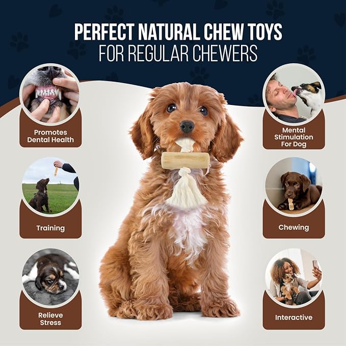 4 Pack Real Coffee Wood Stick for Dogs 15-40 lbs, Puppy Teething Toys, 100% Natural Puppy Wood Chew Toys, Stress Relief - Woodden Bones for Dogs - Natural Rope Toys