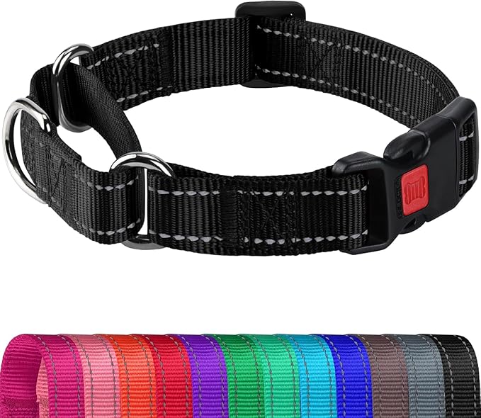 Joytale Martingale Collar for Dogs, Reflective Heavy Duty for Safety, Quick Release Buckle, Adjustable Nylon Collars for Medium Dogs Walking Training, Black, M